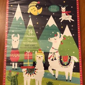 Trader Joe’s Advent Calendar 2019.NEW!